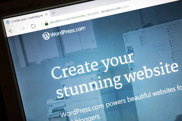 WordPress web developers
